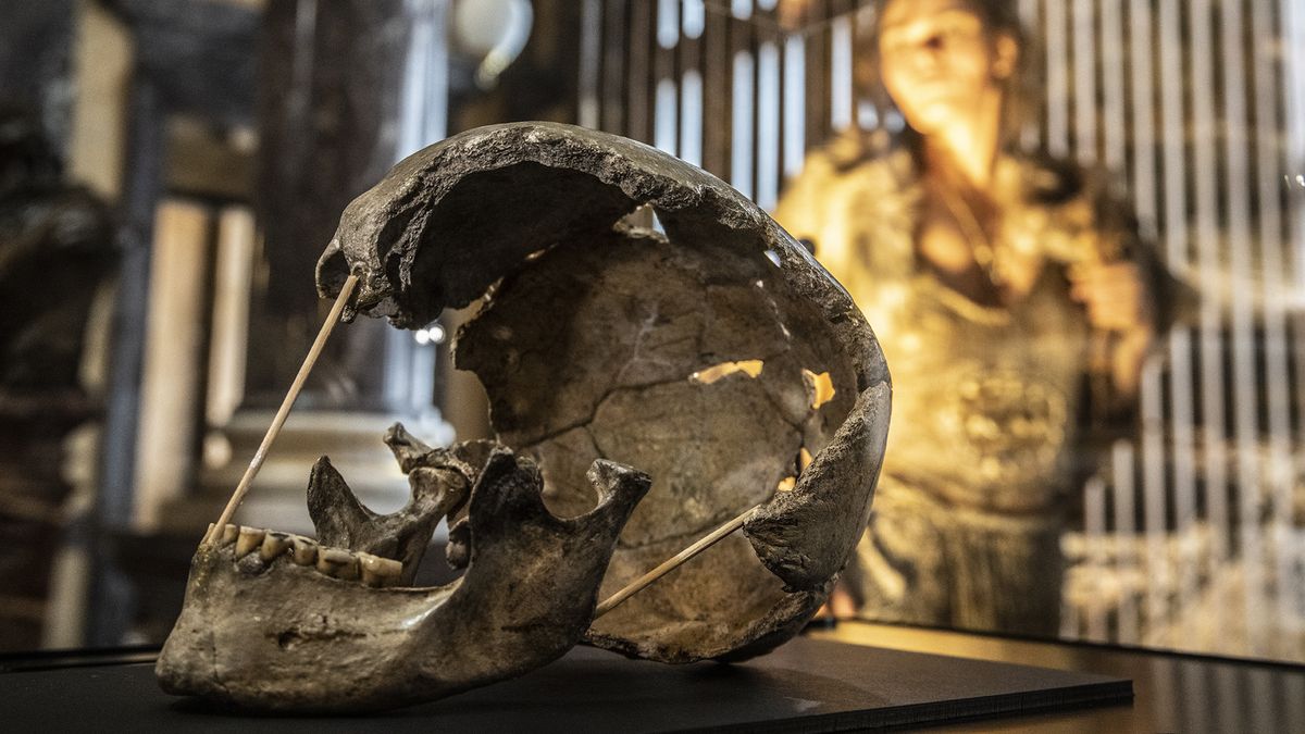 Analýza dokázala, že nejstarší lebka moderního člověka je z Českého krasu